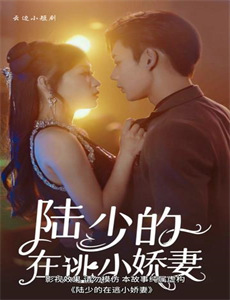 小屁孩日记3:圣诞大惊喜