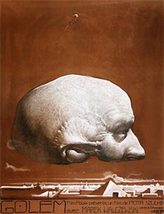 蔬菜不寂寞第24季